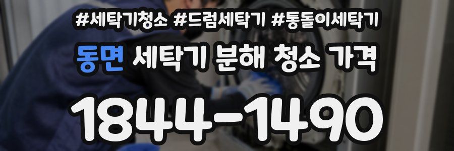 동면 세탁기 분해 청소 가격