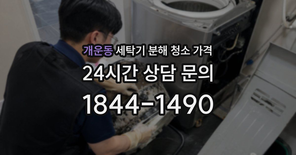 개운동 세탁기 분해 청소 가격