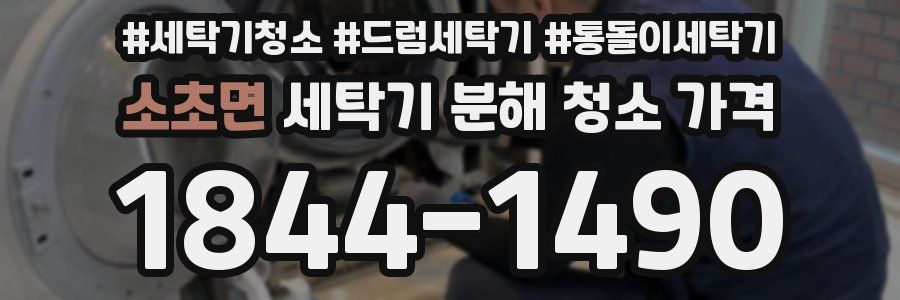 소초면 세탁기 분해 청소 가격
