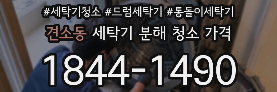 견소동 세탁기 분해 청소 가격