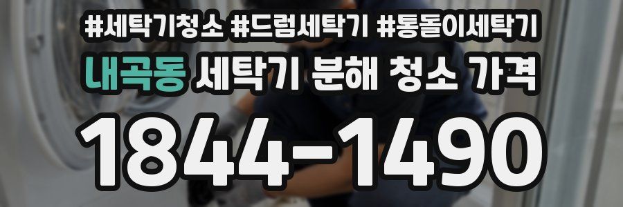 내곡동 세탁기 분해 청소 가격