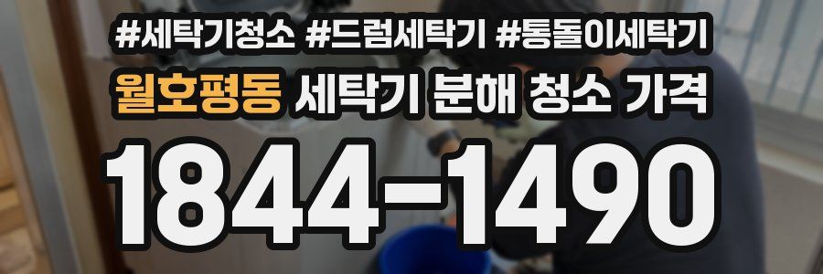 월호평동 세탁기 분해 청소 가격