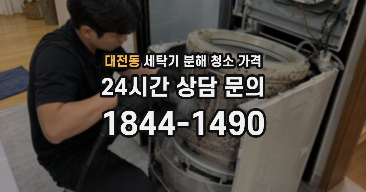 대전동 세탁기 분해 청소 가격