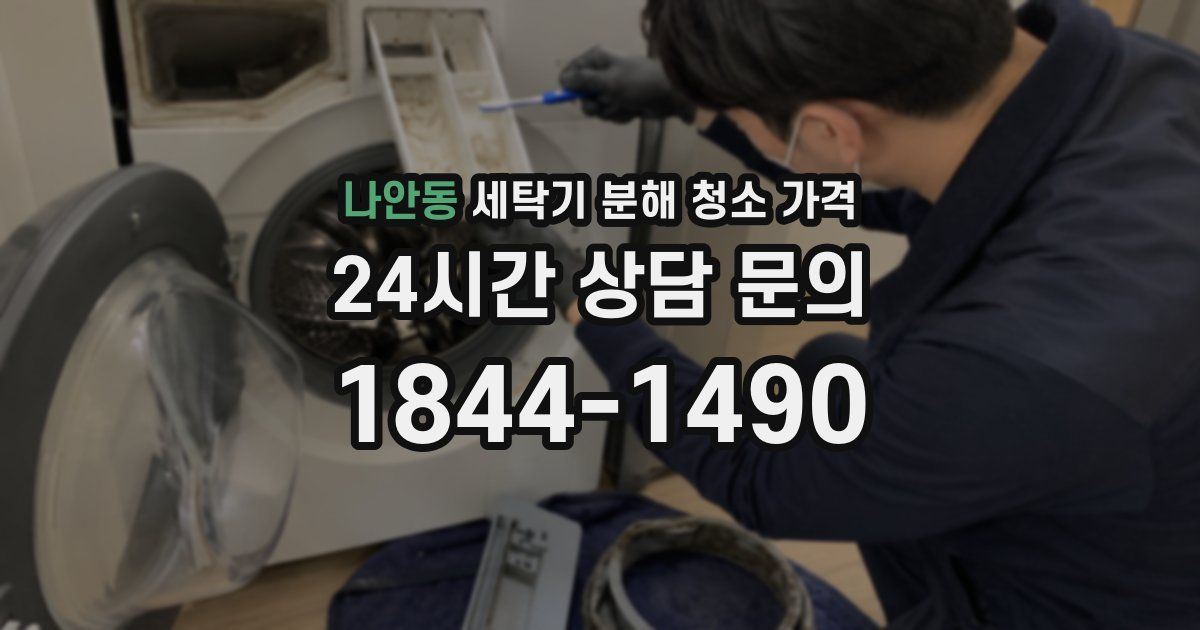나안동 세탁기 분해 청소 가격