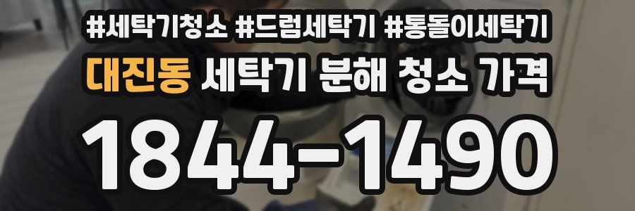 대진동 세탁기 분해 청소 가격