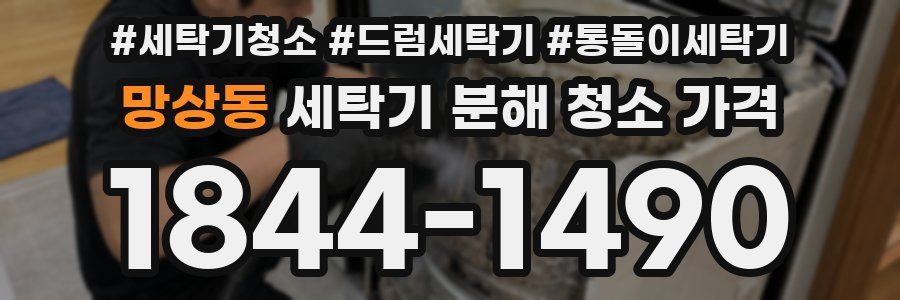 망상동 세탁기 분해 청소 가격