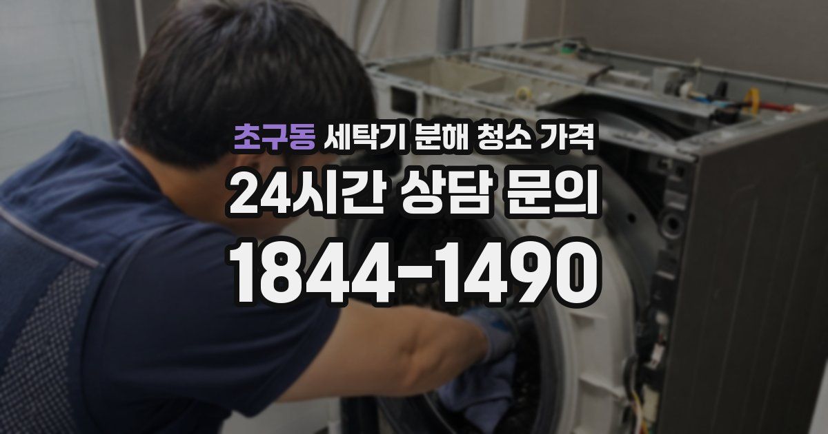 초구동 세탁기 분해 청소 가격