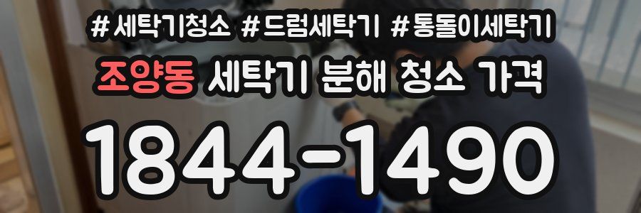 조양동 세탁기 분해 청소 가격