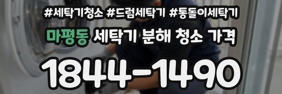 마평동 세탁기 분해 청소 가격
