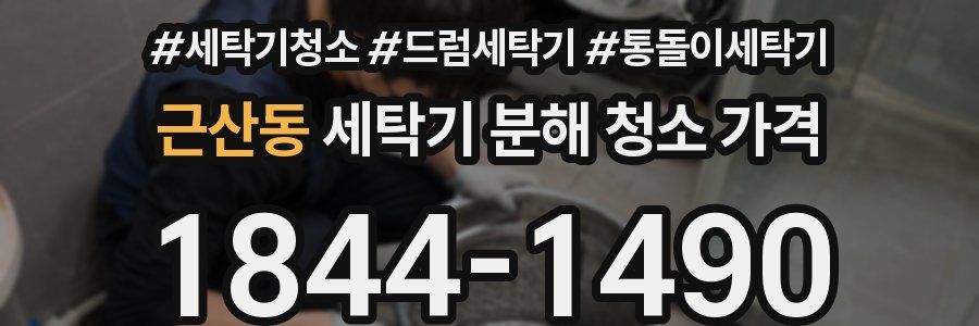 근산동 세탁기 분해 청소 가격
