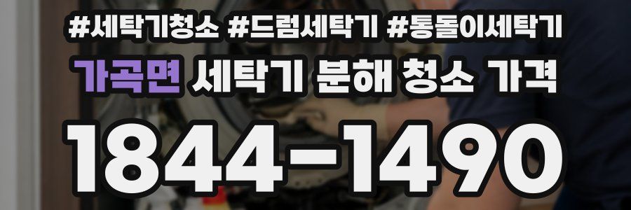 가곡면 세탁기 분해 청소 가격