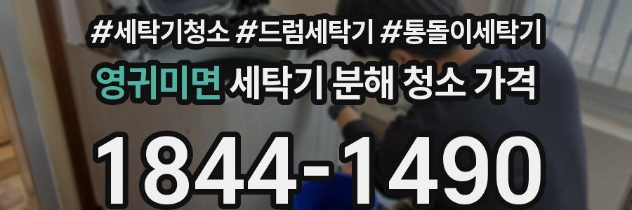 영귀미면 세탁기 분해 청소 가격