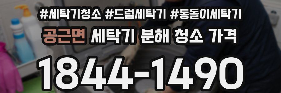 공근면 세탁기 분해 청소 가격