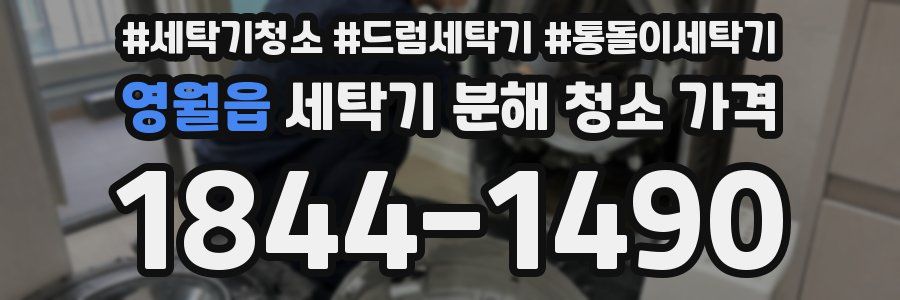영월읍 세탁기 분해 청소 가격