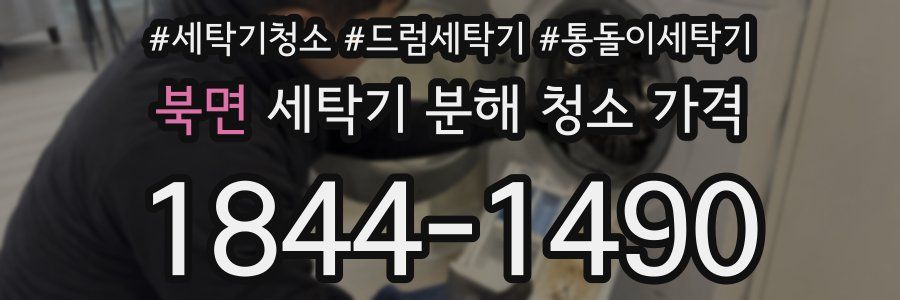 북면 세탁기 분해 청소 가격