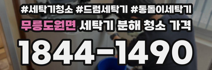 무릉도원면 세탁기 분해 청소 가격