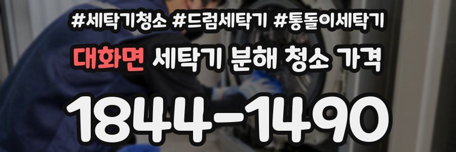 대화면 세탁기 분해 청소 가격