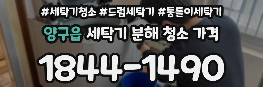양구읍 세탁기 분해 청소 가격