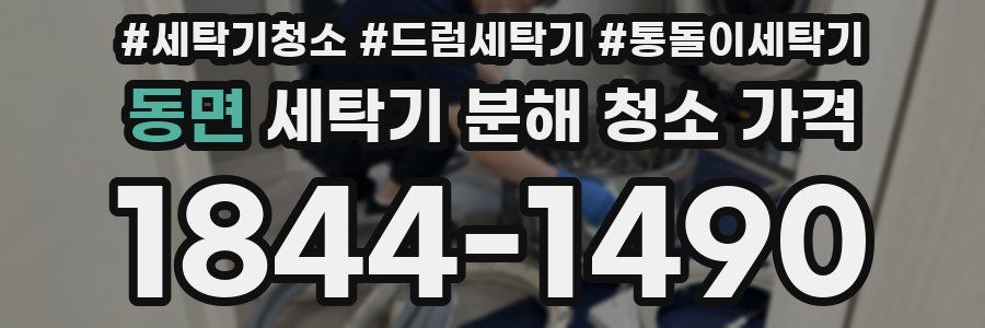 동면 세탁기 분해 청소 가격