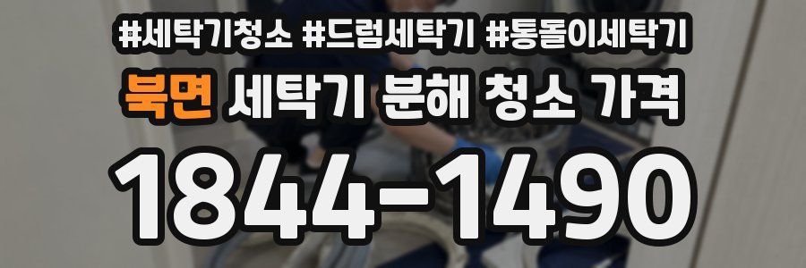 북면 세탁기 분해 청소 가격