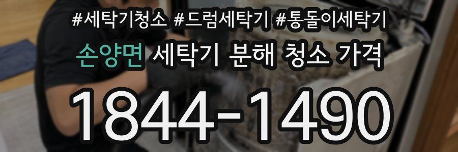 손양면 세탁기 분해 청소 가격
