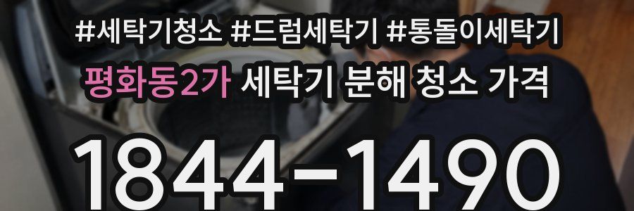 평화동2가 세탁기 분해 청소 가격