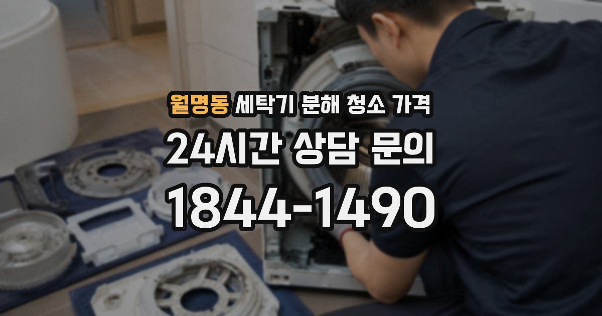 월명동 세탁기 분해 청소 가격