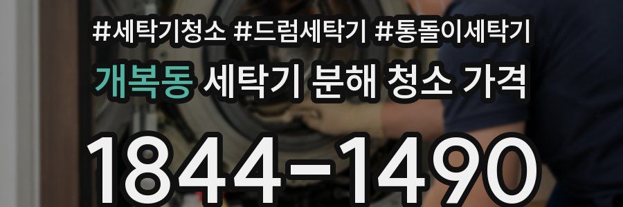 개복동 세탁기 분해 청소 가격