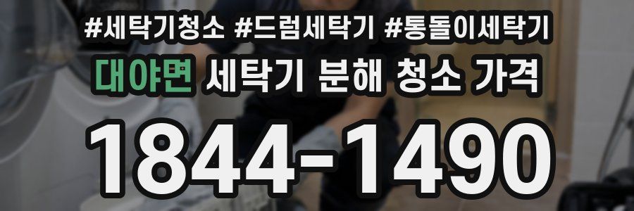 대야면 세탁기 분해 청소 가격