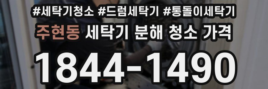 주현동 세탁기 분해 청소 가격