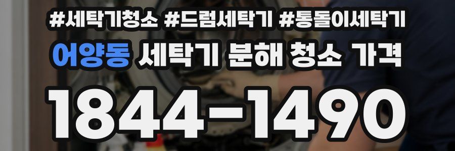 어양동 세탁기 분해 청소 가격