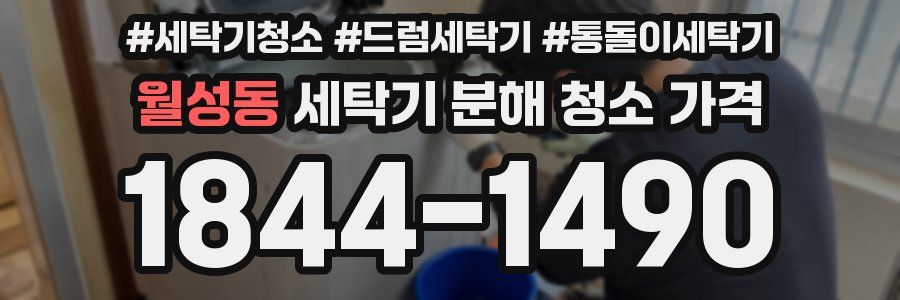 월성동 세탁기 분해 청소 가격