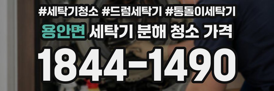 용안면 세탁기 분해 청소 가격