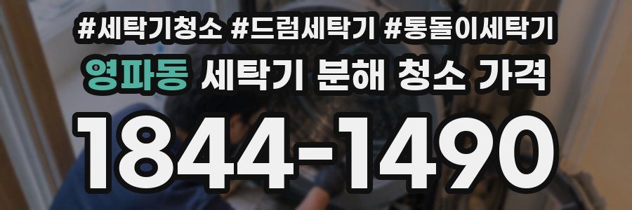 영파동 세탁기 분해 청소 가격