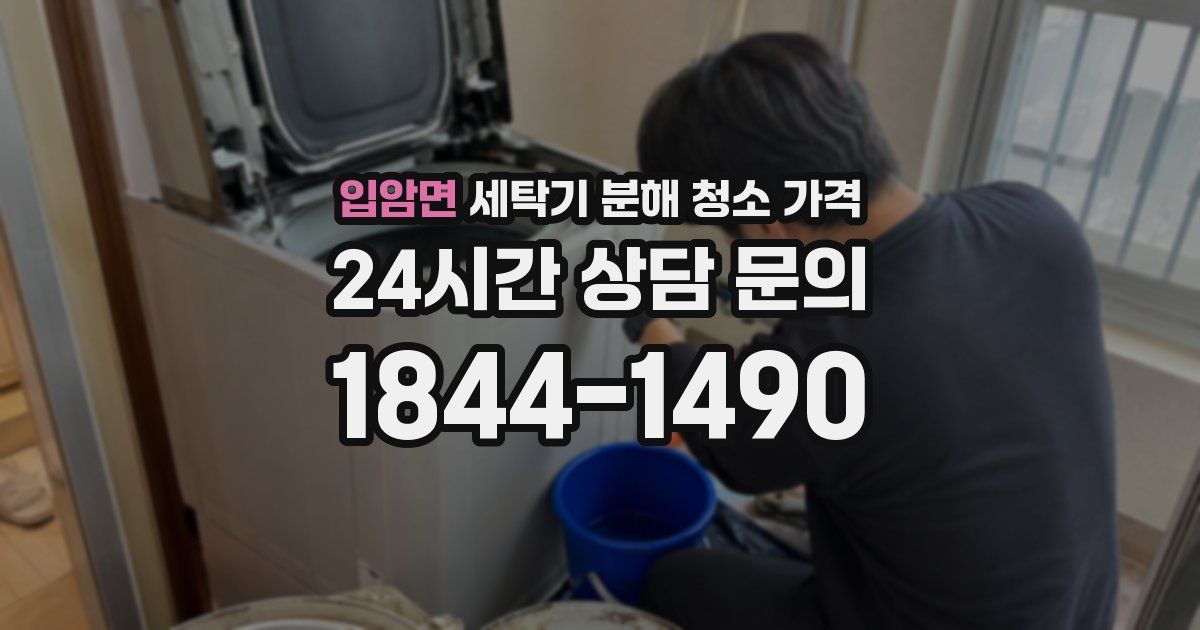 입암면 세탁기 분해 청소 가격