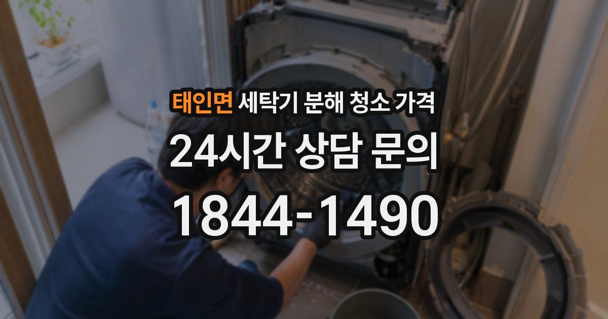 태인면 세탁기 분해 청소 가격