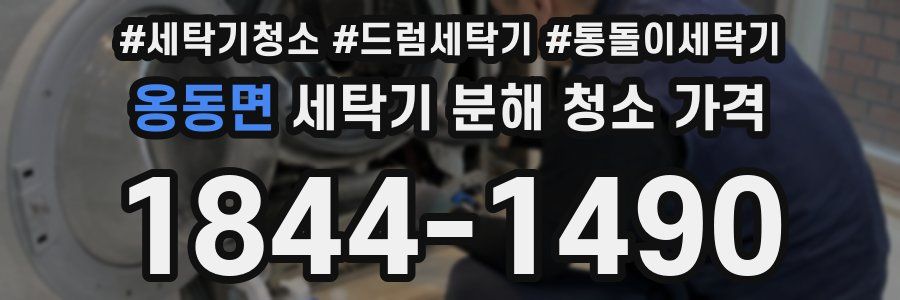옹동면 세탁기 분해 청소 가격