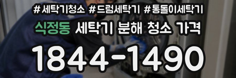 식정동 세탁기 분해 청소 가격