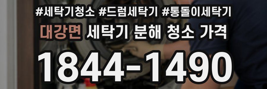 대강면 세탁기 분해 청소 가격