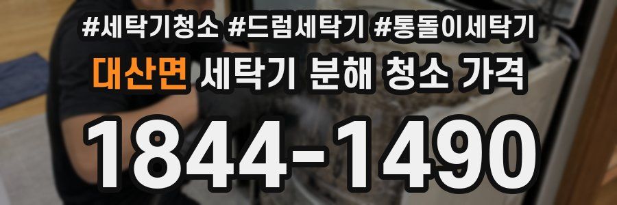 대산면 세탁기 분해 청소 가격