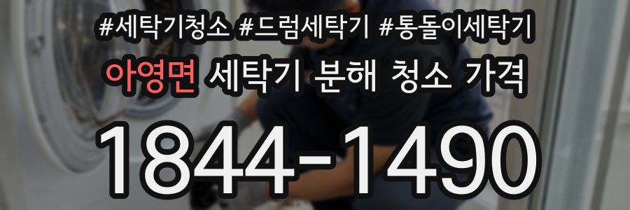 아영면 세탁기 분해 청소 가격