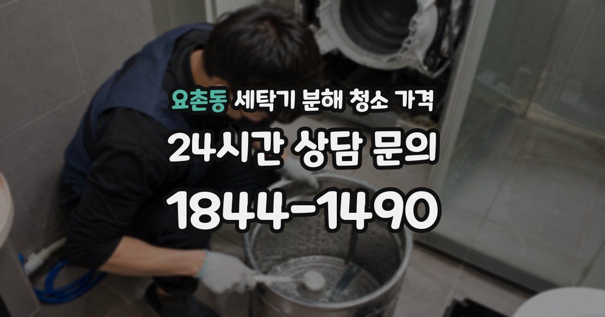 요촌동 세탁기 분해 청소 가격