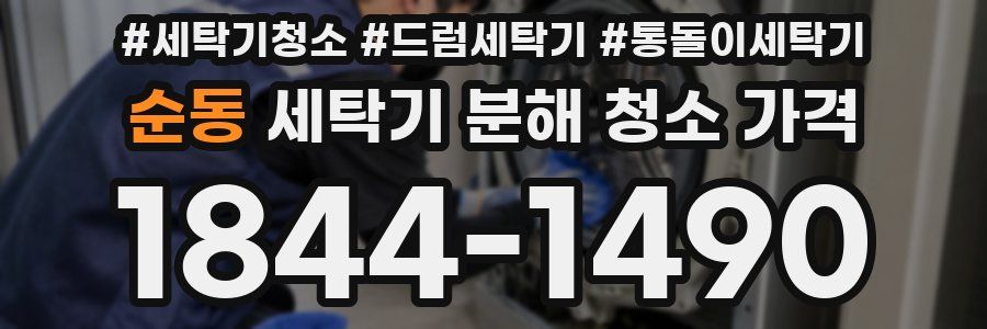 순동 세탁기 분해 청소 가격