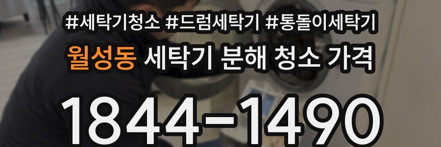 월성동 세탁기 분해 청소 가격