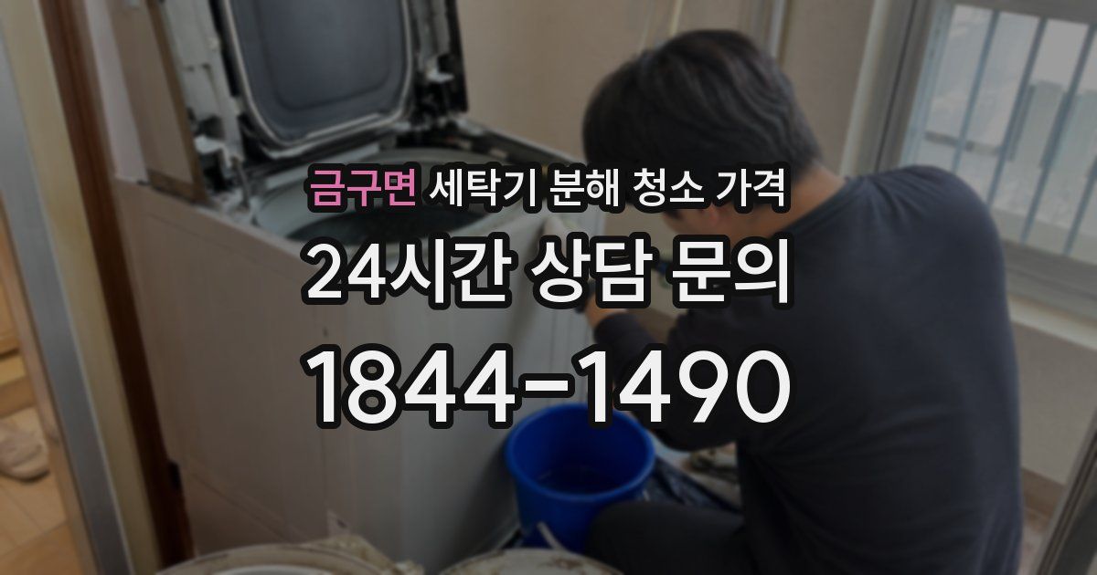 금구면 세탁기 분해 청소 가격