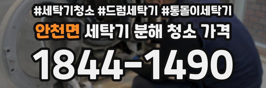 안천면 세탁기 분해 청소 가격