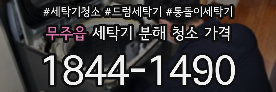 무주읍 세탁기 분해 청소 가격