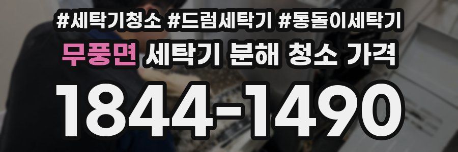 무풍면 세탁기 분해 청소 가격