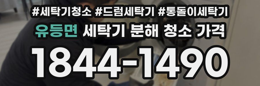 유등면 세탁기 분해 청소 가격