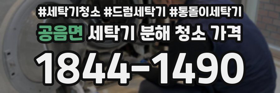 공음면 세탁기 분해 청소 가격